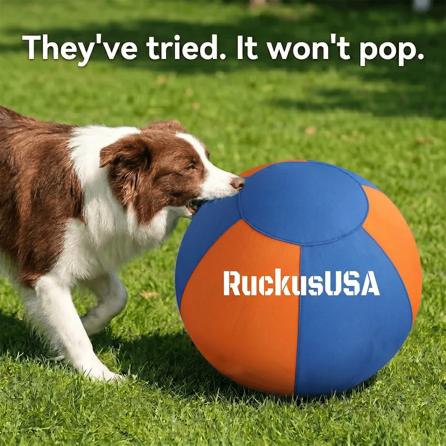 Ruckus™ Herding Ball