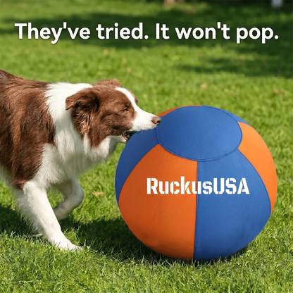 Ruckus™ Herding Ball