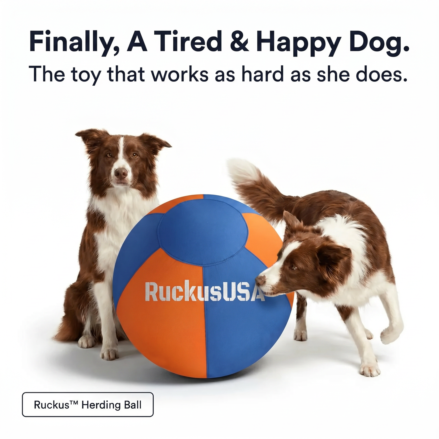 Ruckus™ Herding Ball