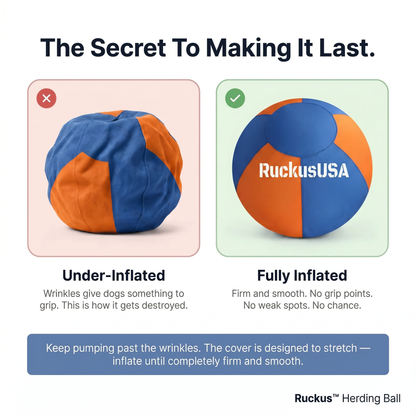 Ruckus™ Herding Ball