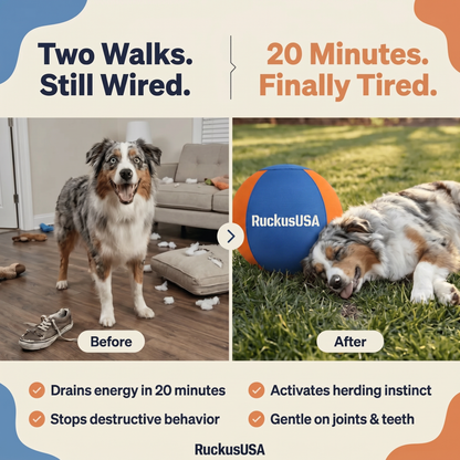 Ruckus™ Herding Ball