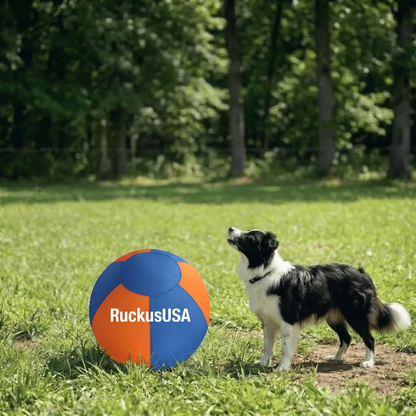 Ruckus™ Herding Ball